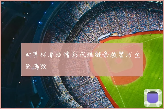 世界杯非法博彩代理链条被警方全面捣毁